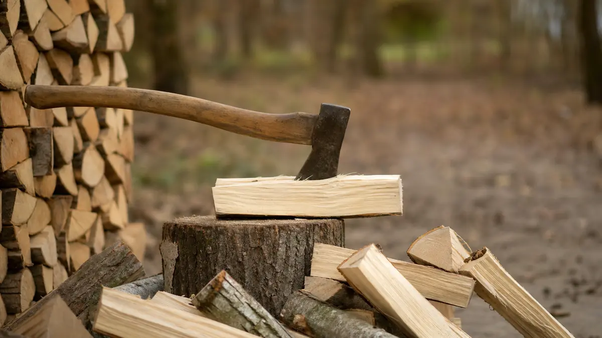 peuplier bois de chauffage